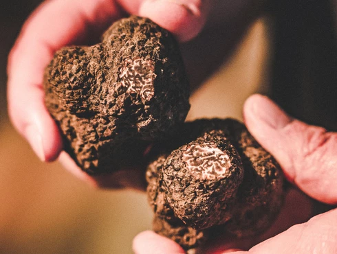 Truffes du Vaucluse  © LezBroz