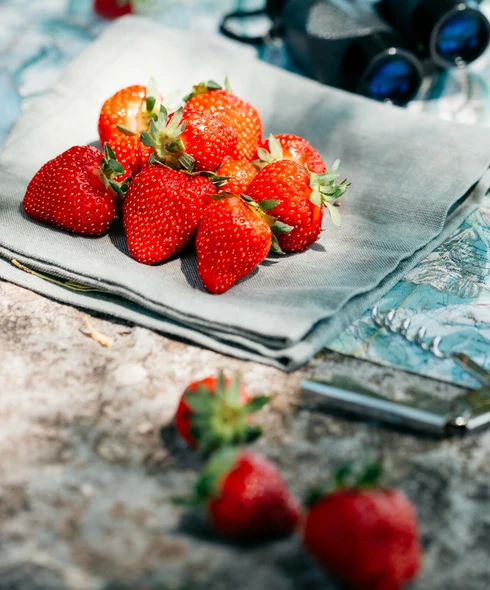 Fraises de Carpentras  © O'Brien