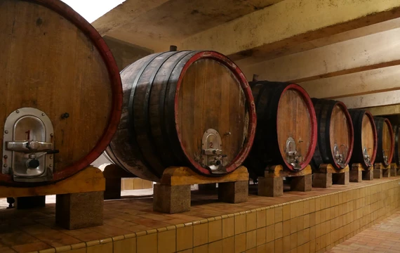 Château la Verrrerie, domaine viticole  © Ripert