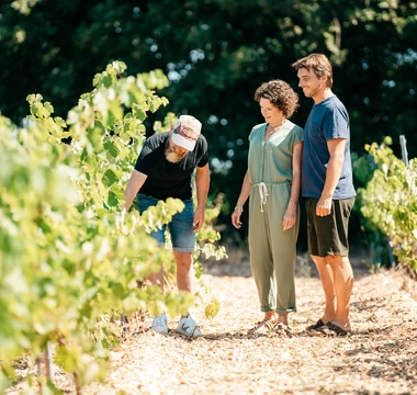 Balade dans les vignes  © O'Brien