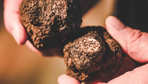 Truffes  © LezBroz