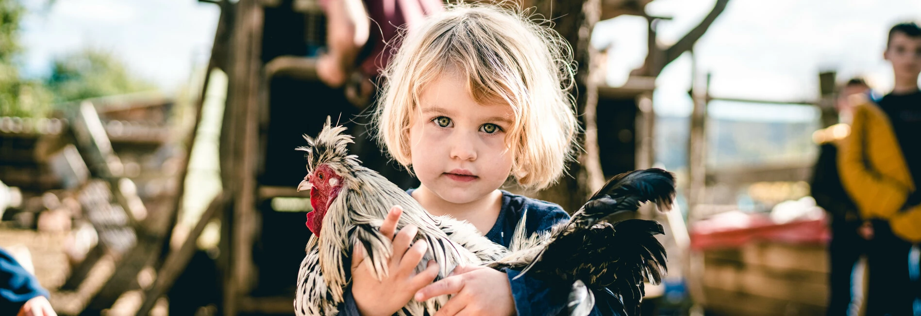 Jeune enfant portant une poule  © O'Brien