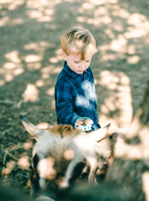 Enfant visitant une ferme pédagogique  © O'Brien