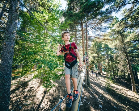 Parcours forestier en Vaucluse  © O'Brien