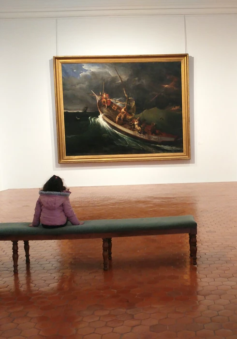 Musée Calvet à Avignon  © Abry