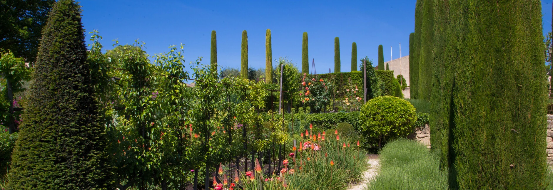 Jardin du Val Joanis à Pertuis  © Hocquel