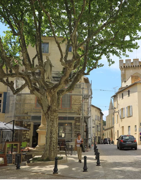 Villeneuve-lès-Avignon  © © A. Hocquel