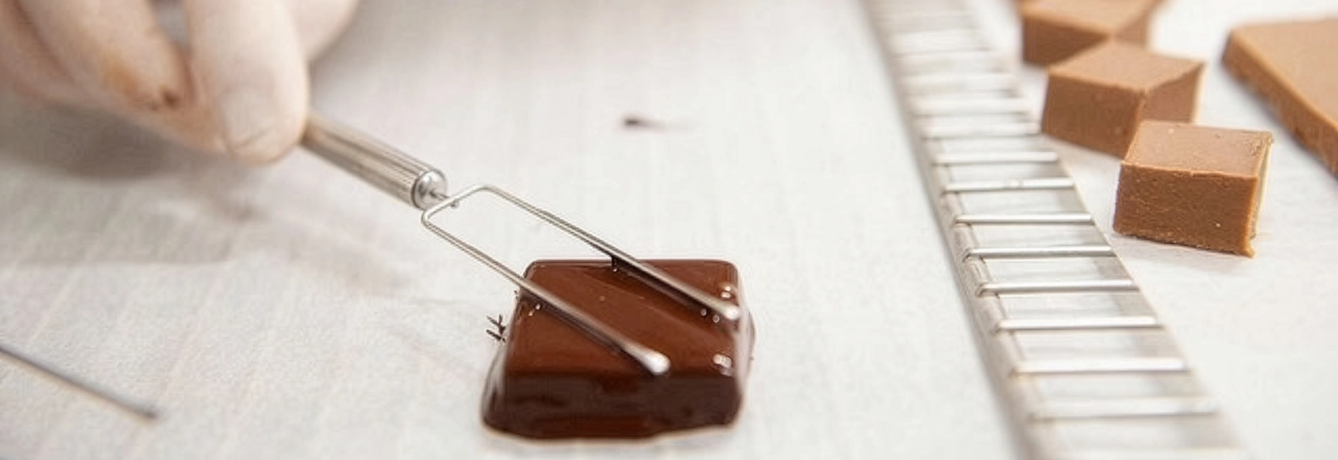   © ©Chocolaterie Castelain
