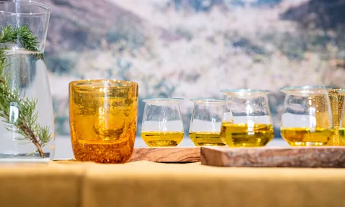 L’HOVE, une immersion dans le monde de l’olive